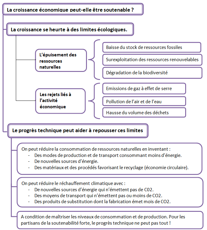 Croissance8