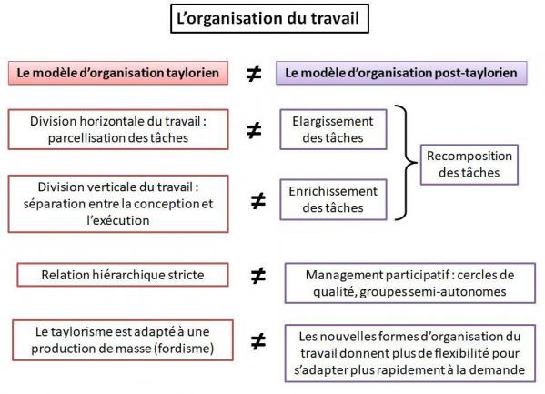 Organisation travail